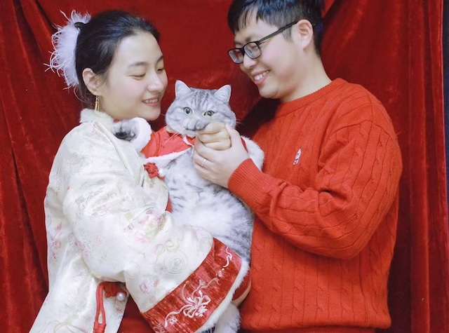 克拉小猫